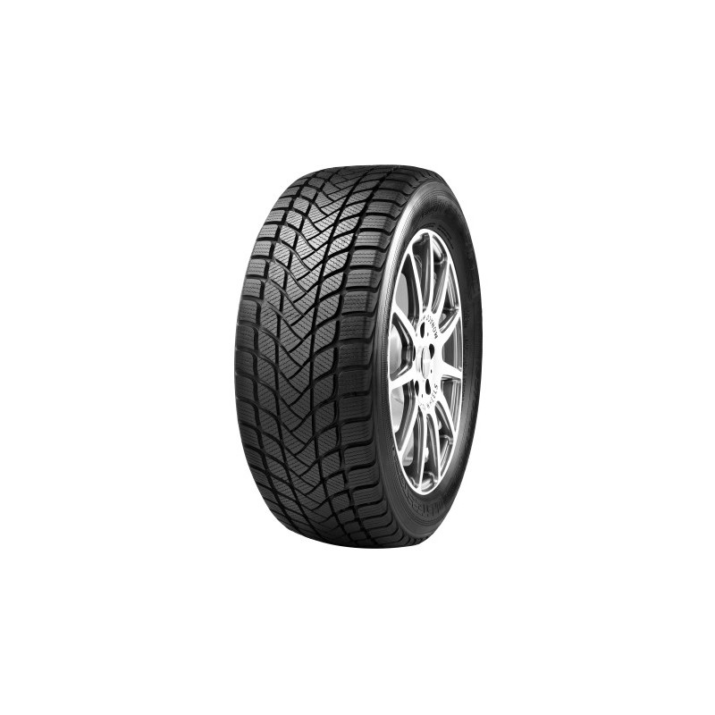 205/60R16 MASTER-STEEL WINTPL1 96H