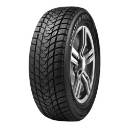 195/65R15 DELINTE WD1 91H