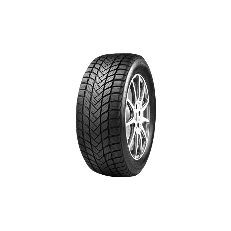 225/55R17 MASTER-STEEL WINTPL1 97H
